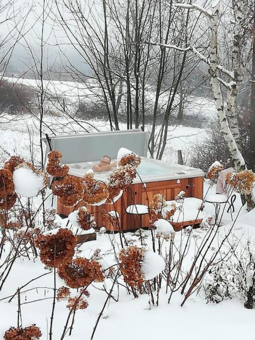 De Charme 5 Etoiles Pour Couple Avec Sauna Et Jacuzzi Exterieurs Privatifs Villa Peaugres